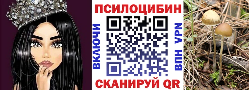 Купить закладки  Балтийск  Галлюциногенные грибы MAGIC MUSHROOMS 